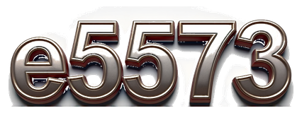 e5573 logo